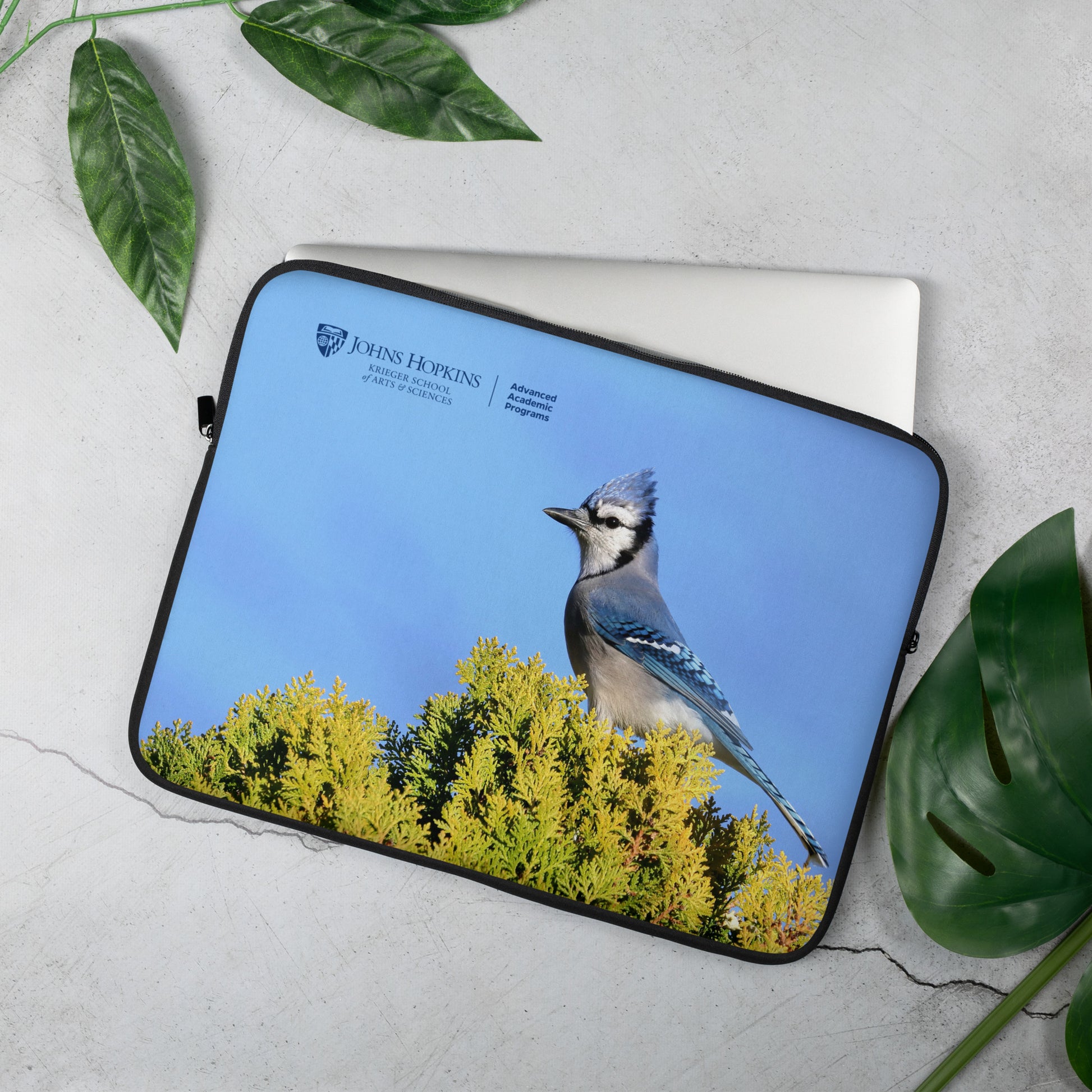 Laptop Sleeve