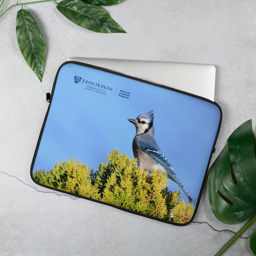 Laptop Sleeve